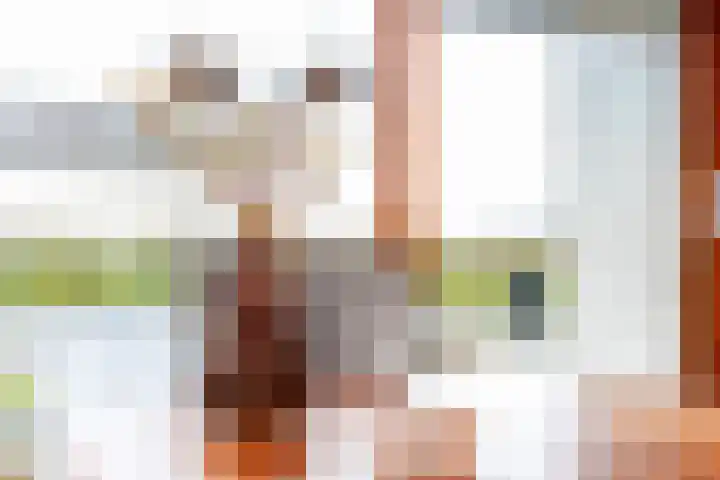 Hogeweg 94 Rossum thumbnail 14