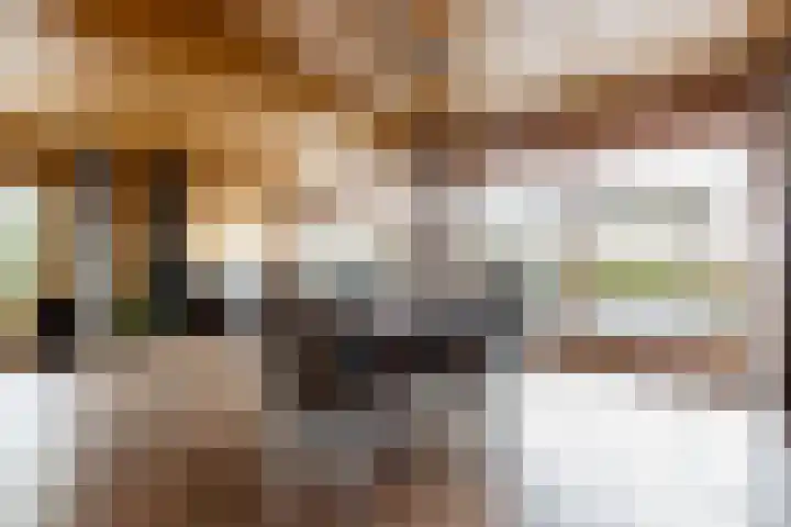 Hogeweg 94 Rossum thumbnail 16