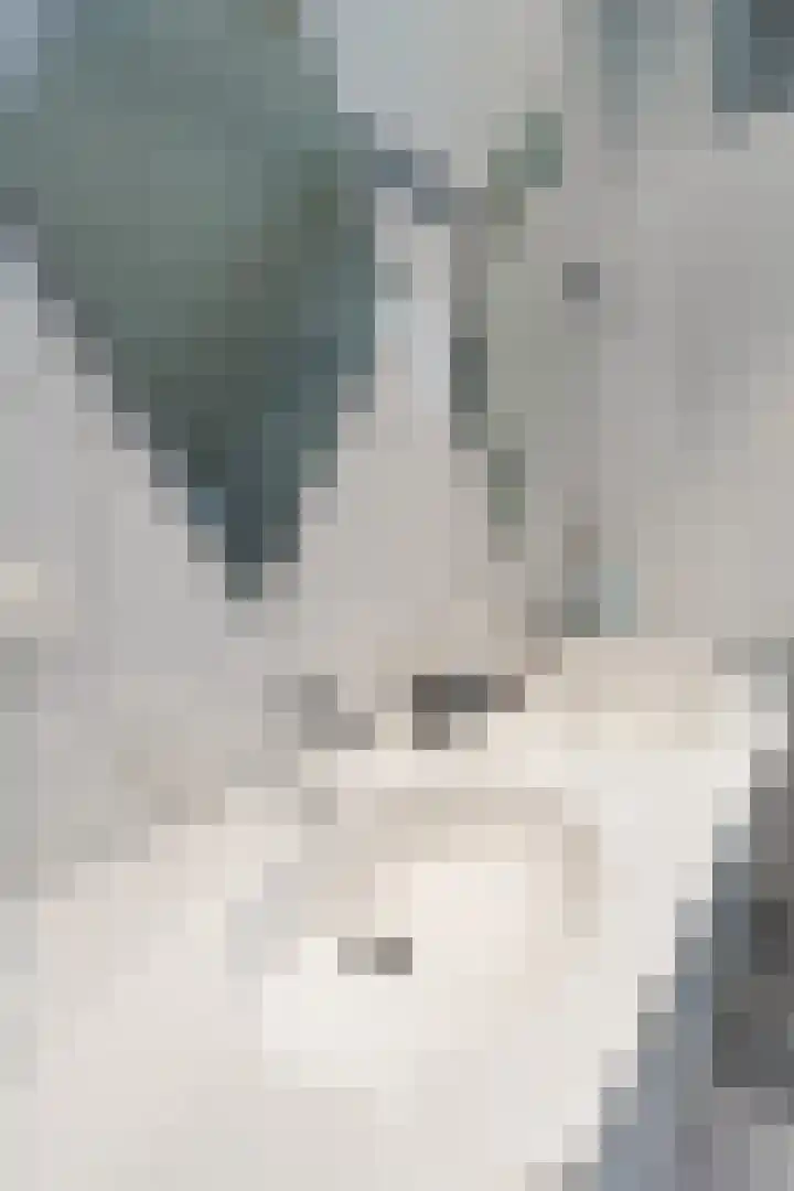 Hogeweg 94 Rossum thumbnail 32