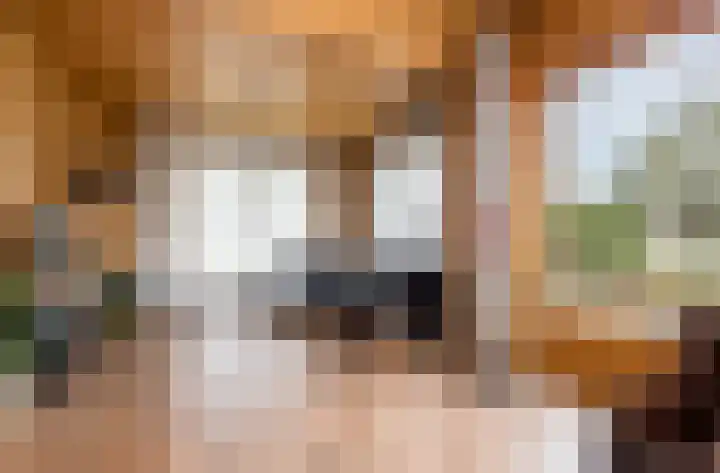 Hogeweg 94 Rossum thumbnail 4