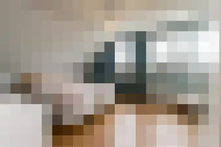 Hogeweg 94 Rossum thumbnail 48
