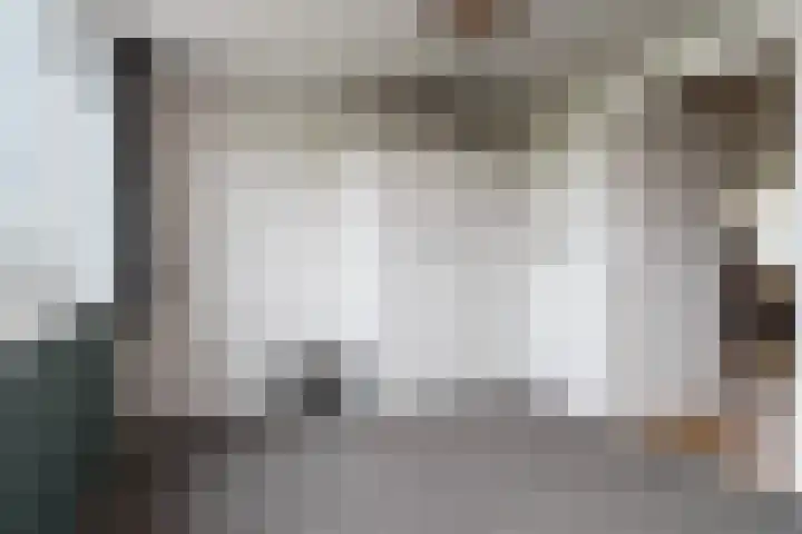 Hogeweg 94 Rossum thumbnail 52
