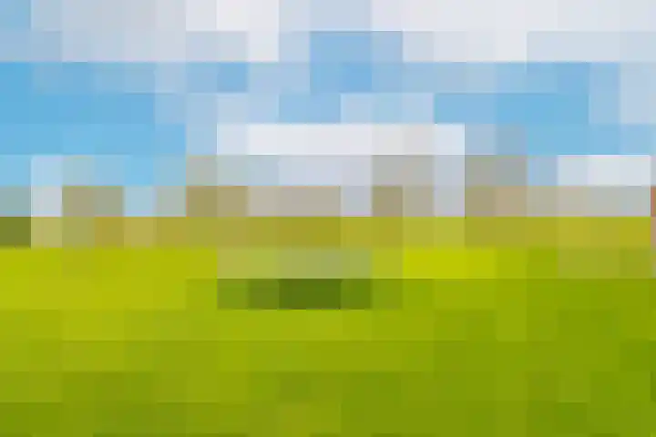 Hogeweg 94 Rossum thumbnail 58