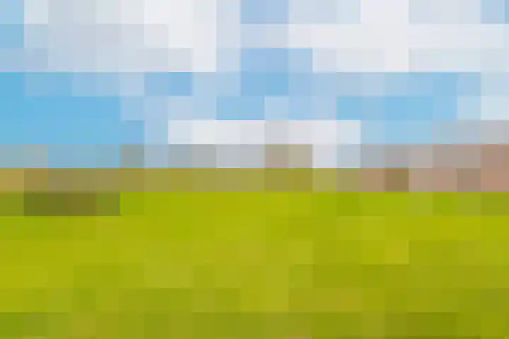 Hogeweg 94 Rossum thumbnail 59
