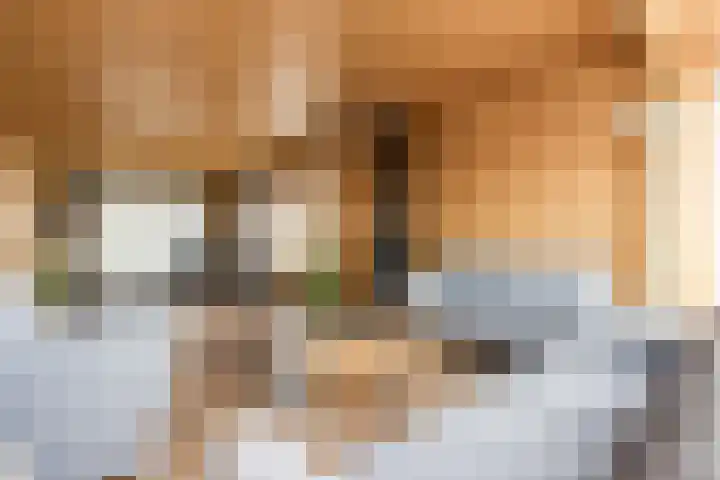 Hogeweg 94 Rossum thumbnail 6