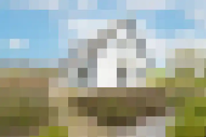 Hogeweg 94 Rossum thumbnail 61