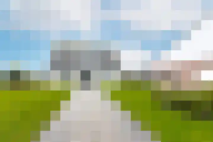 Hogeweg 94 Rossum thumbnail 64
