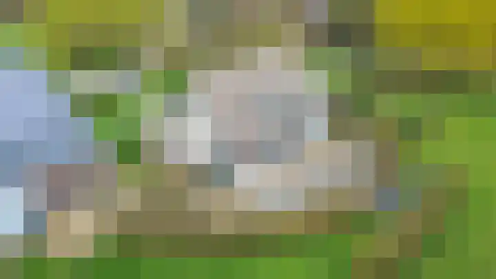 Hogeweg 94 Rossum thumbnail 66