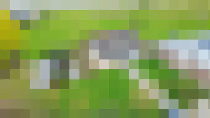 Hogeweg 94 Rossum thumbnail 67