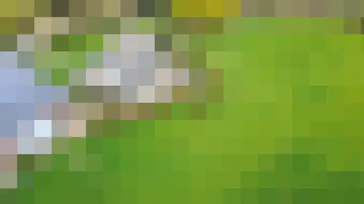 Hogeweg 94 Rossum thumbnail 69