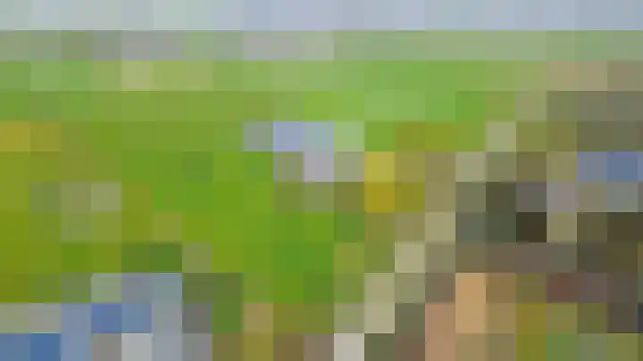 Hogeweg 94 Rossum thumbnail 71