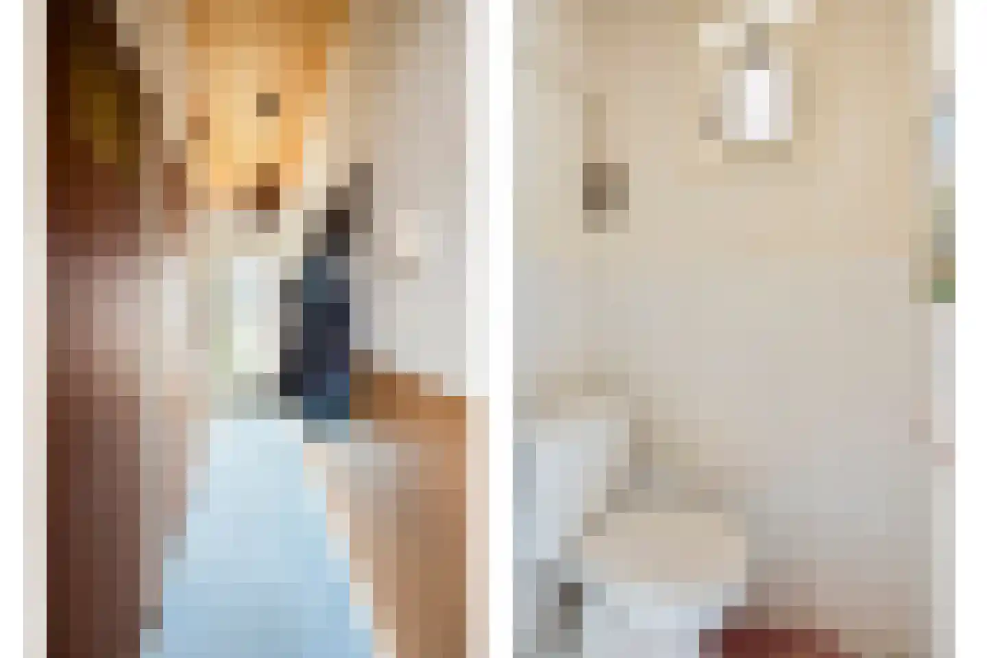 Hogeweidseweg 12 Tiel thumbnail 12