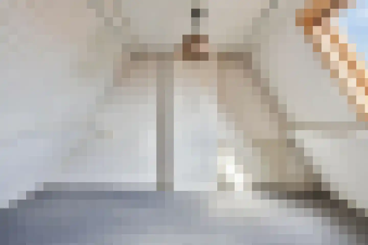Hogeweidseweg 12 Tiel thumbnail 18