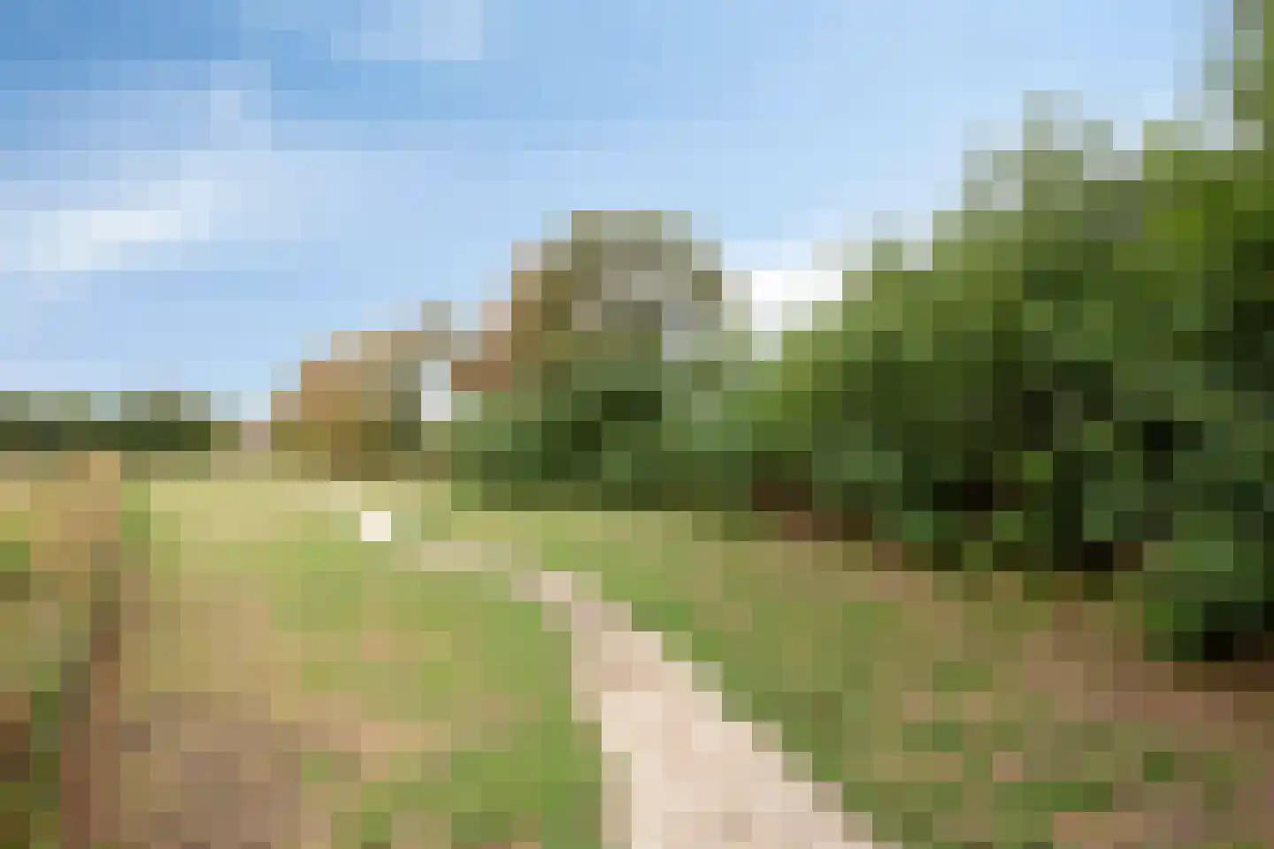 Hogeweidseweg 12 Tiel thumbnail 22