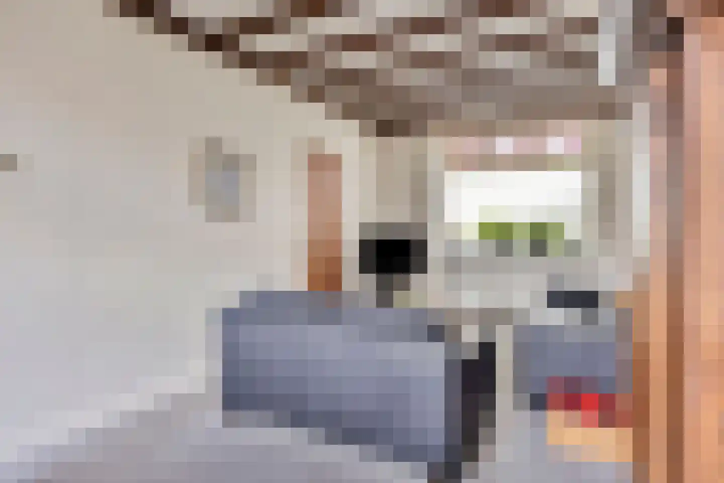 Hogeweidseweg 12 Tiel thumbnail 8