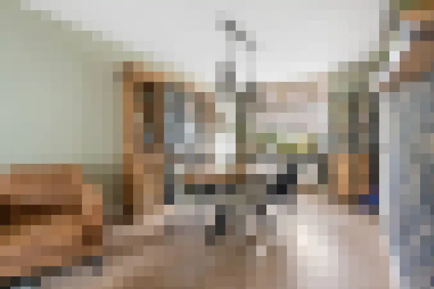 Hogeweidseweg 14 Tiel thumbnail 10