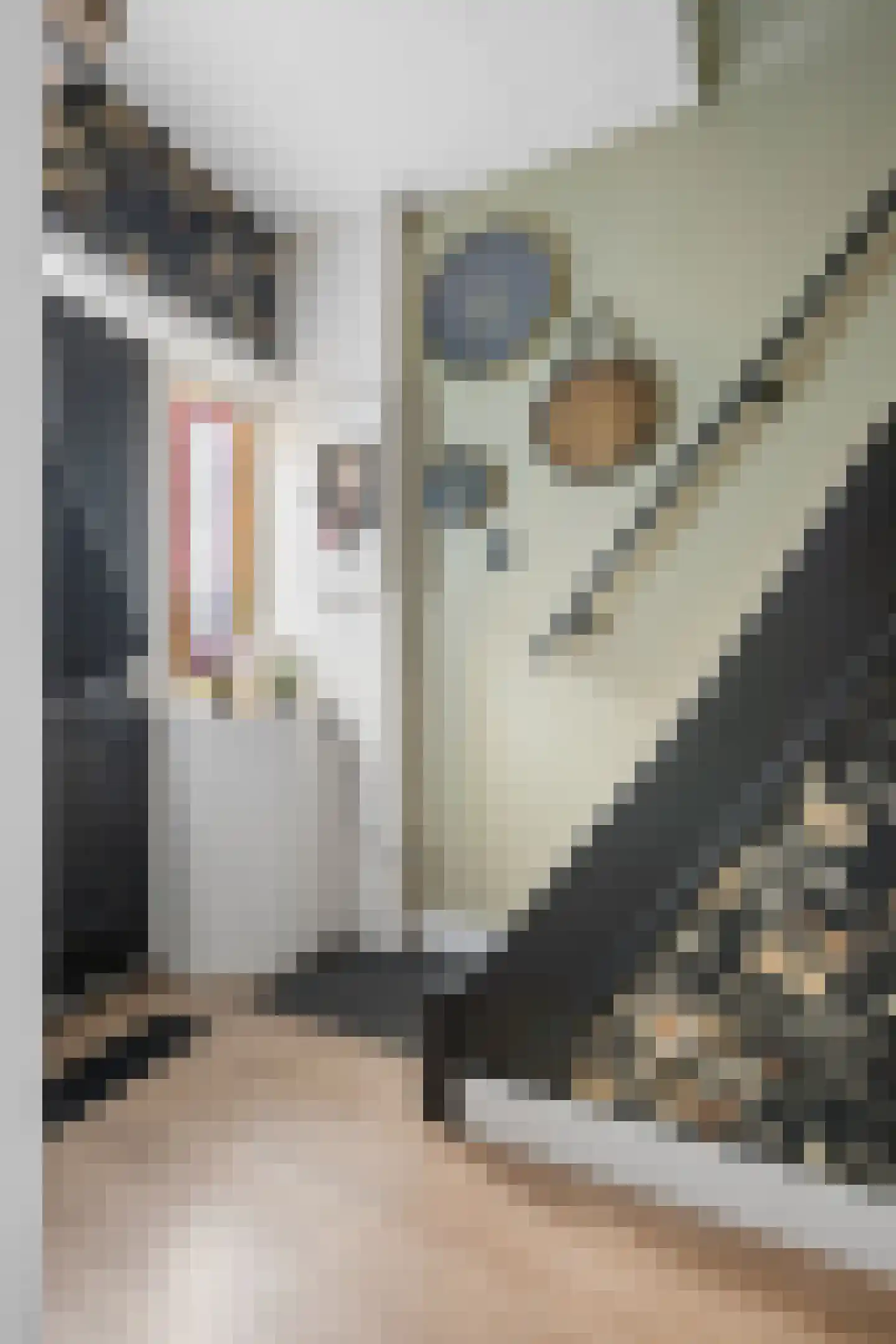 Hogeweidseweg 14 Tiel thumbnail 17