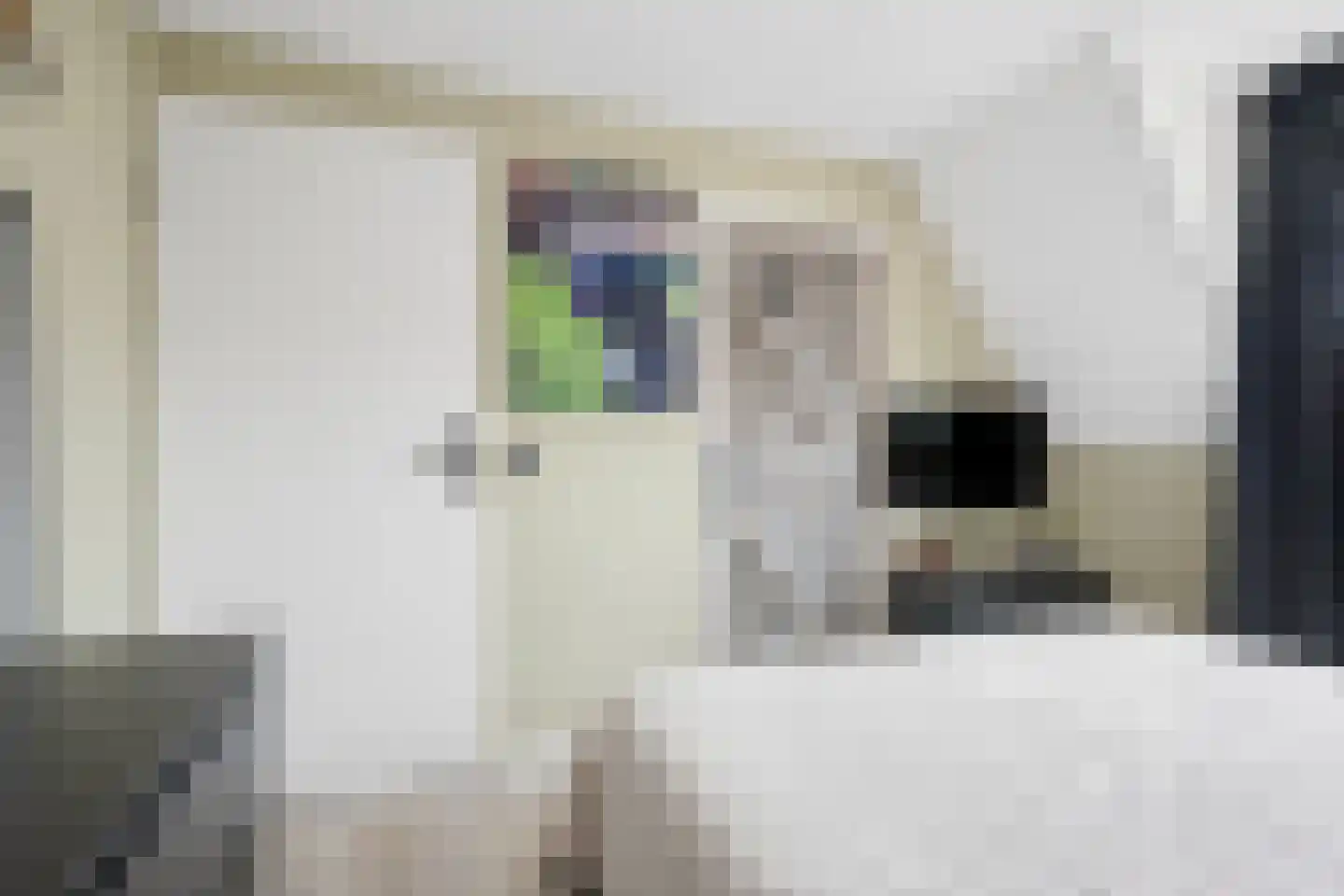 Hogeweidseweg 14 Tiel thumbnail 20