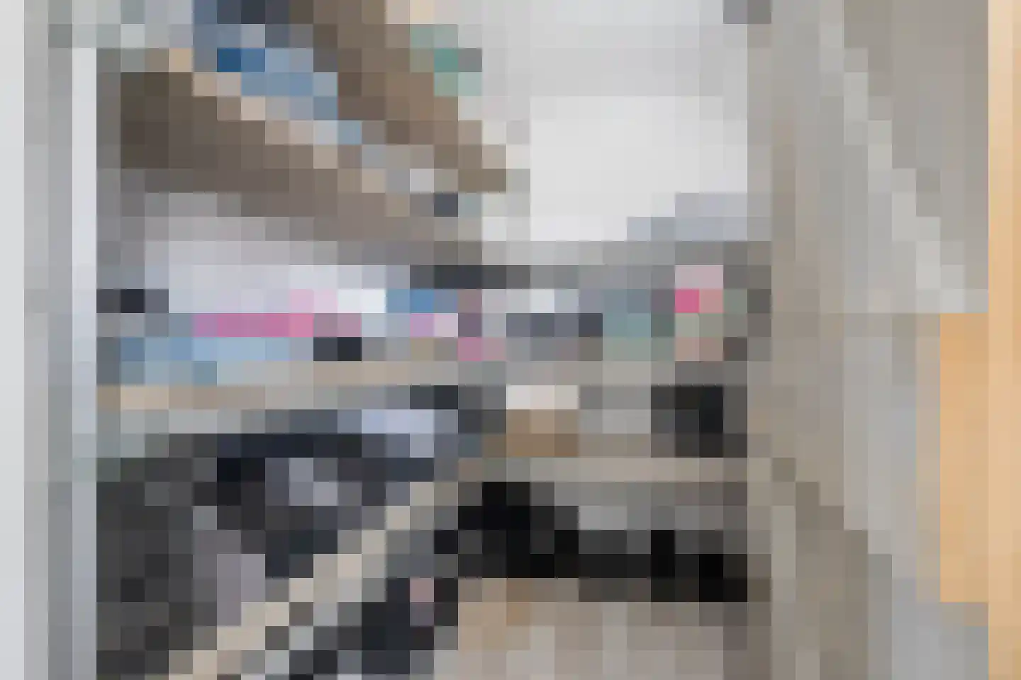 Hogeweidseweg 14 Tiel thumbnail 21