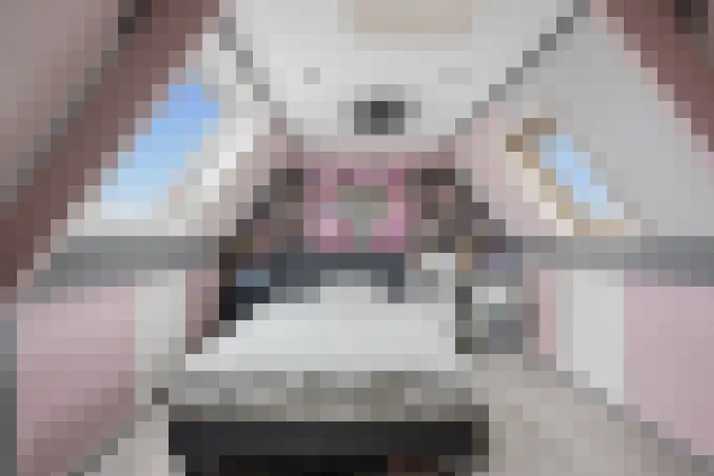 Hogeweidseweg 14 Tiel thumbnail 30