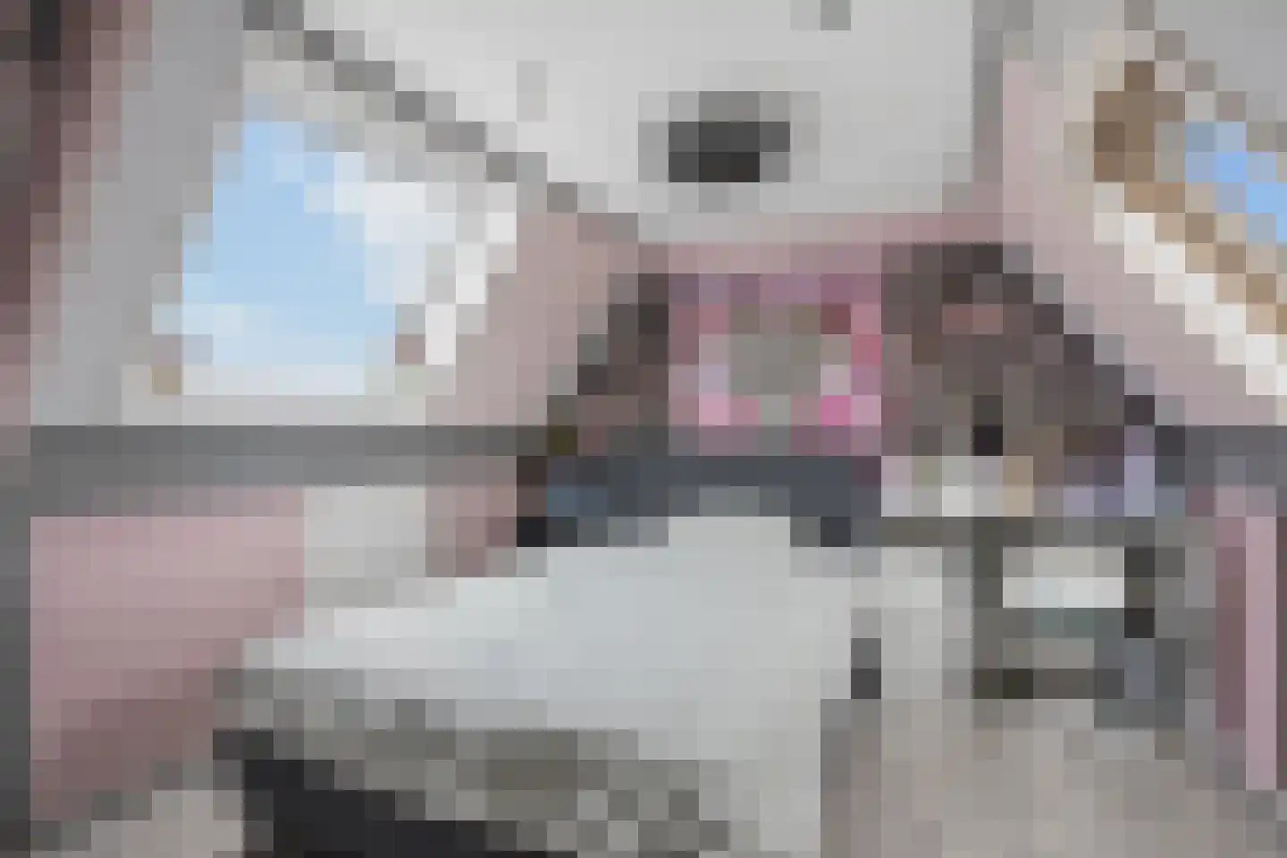 Hogeweidseweg 14 Tiel thumbnail 31