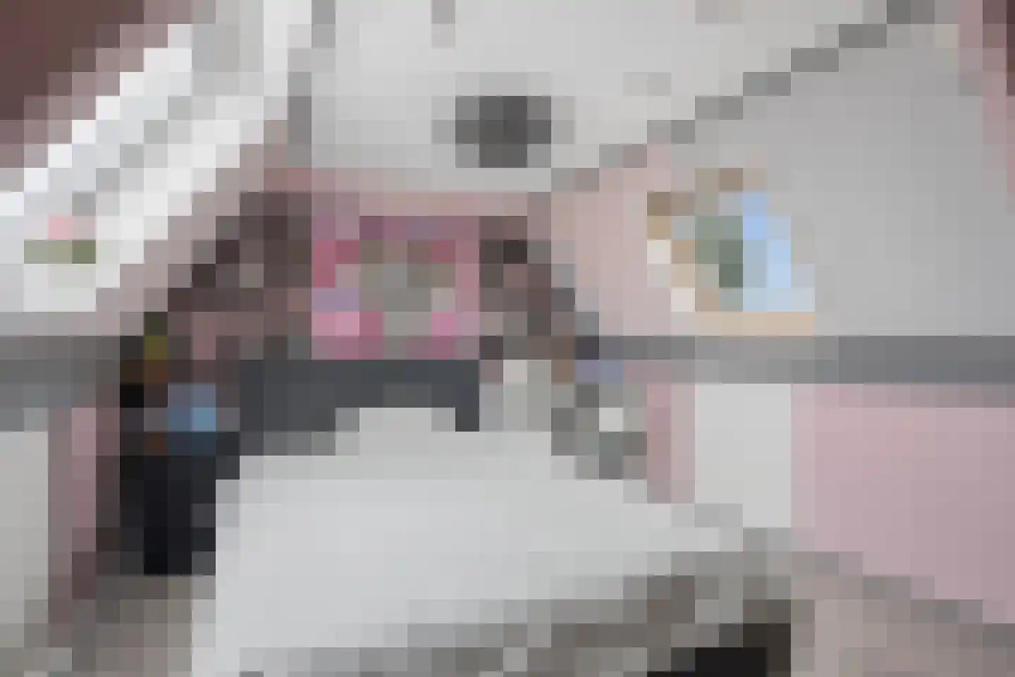 Hogeweidseweg 14 Tiel thumbnail 32