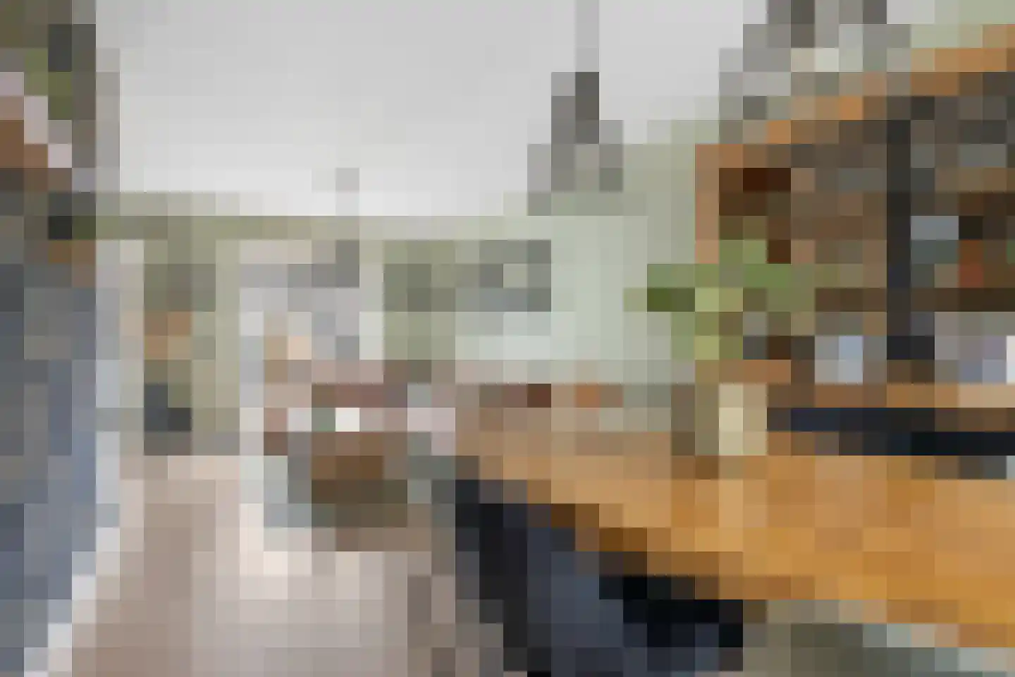 Hogeweidseweg 14 Tiel thumbnail 8