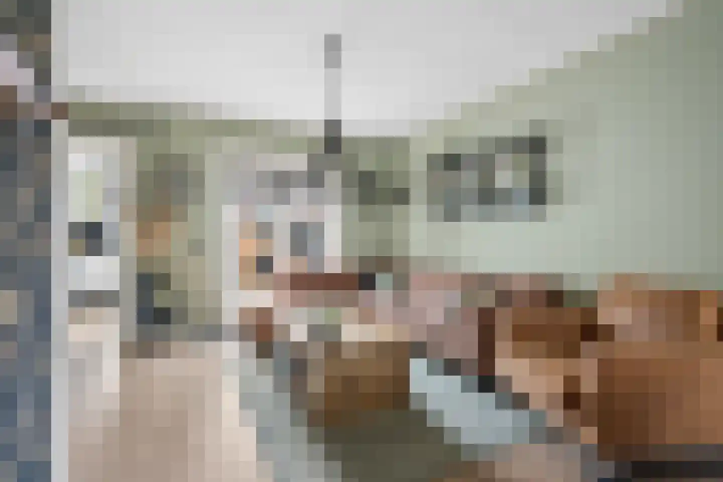 Hogeweidseweg 14 Tiel thumbnail 9