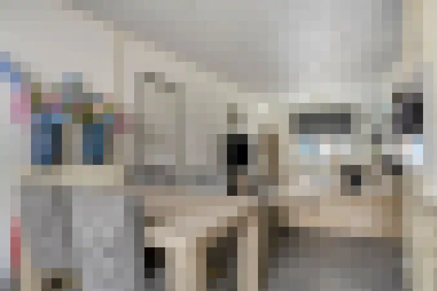 Hogeweidseweg 48 Tiel thumbnail 10