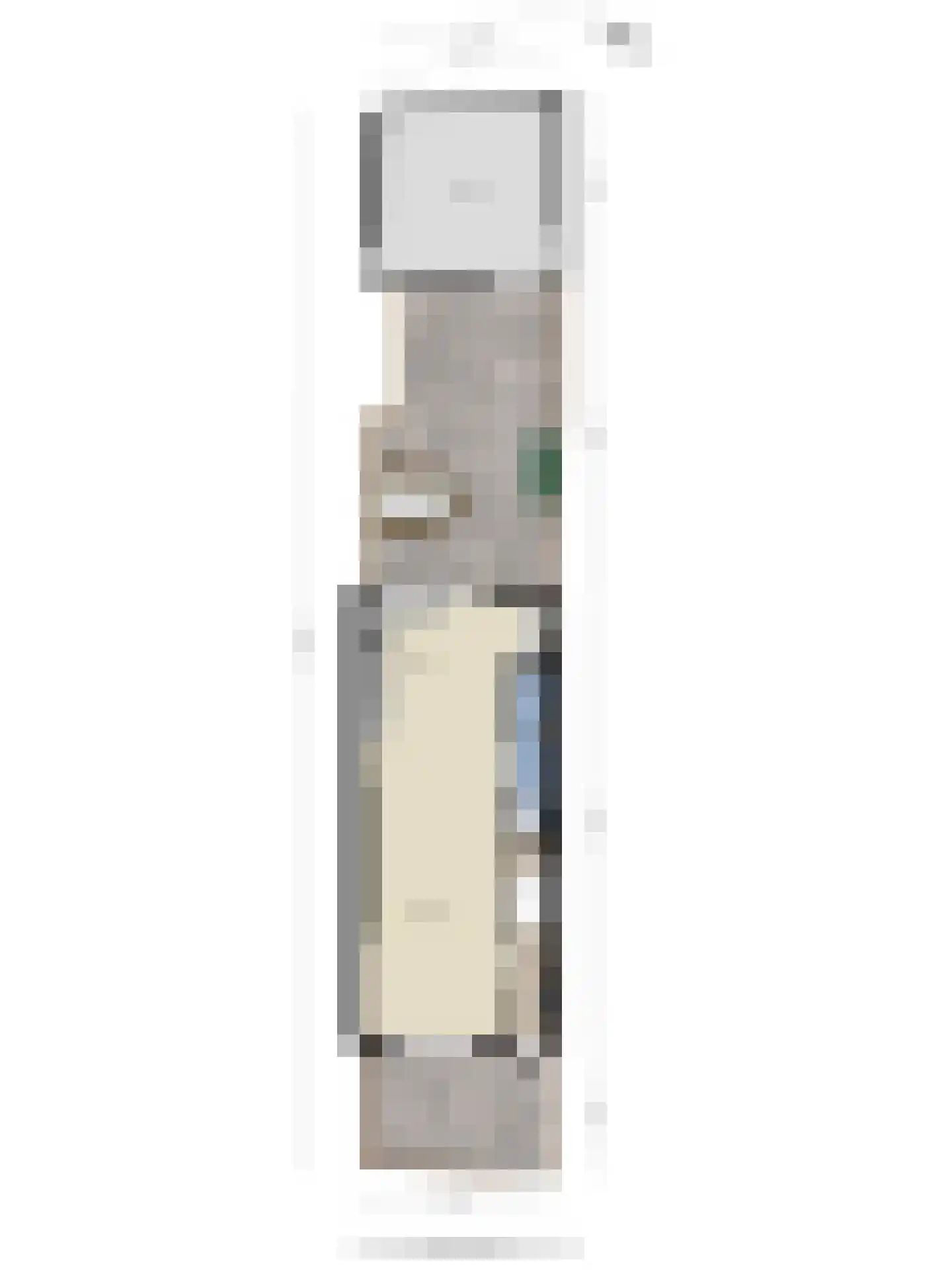 Hogeweidseweg 48 Tiel thumbnail 28