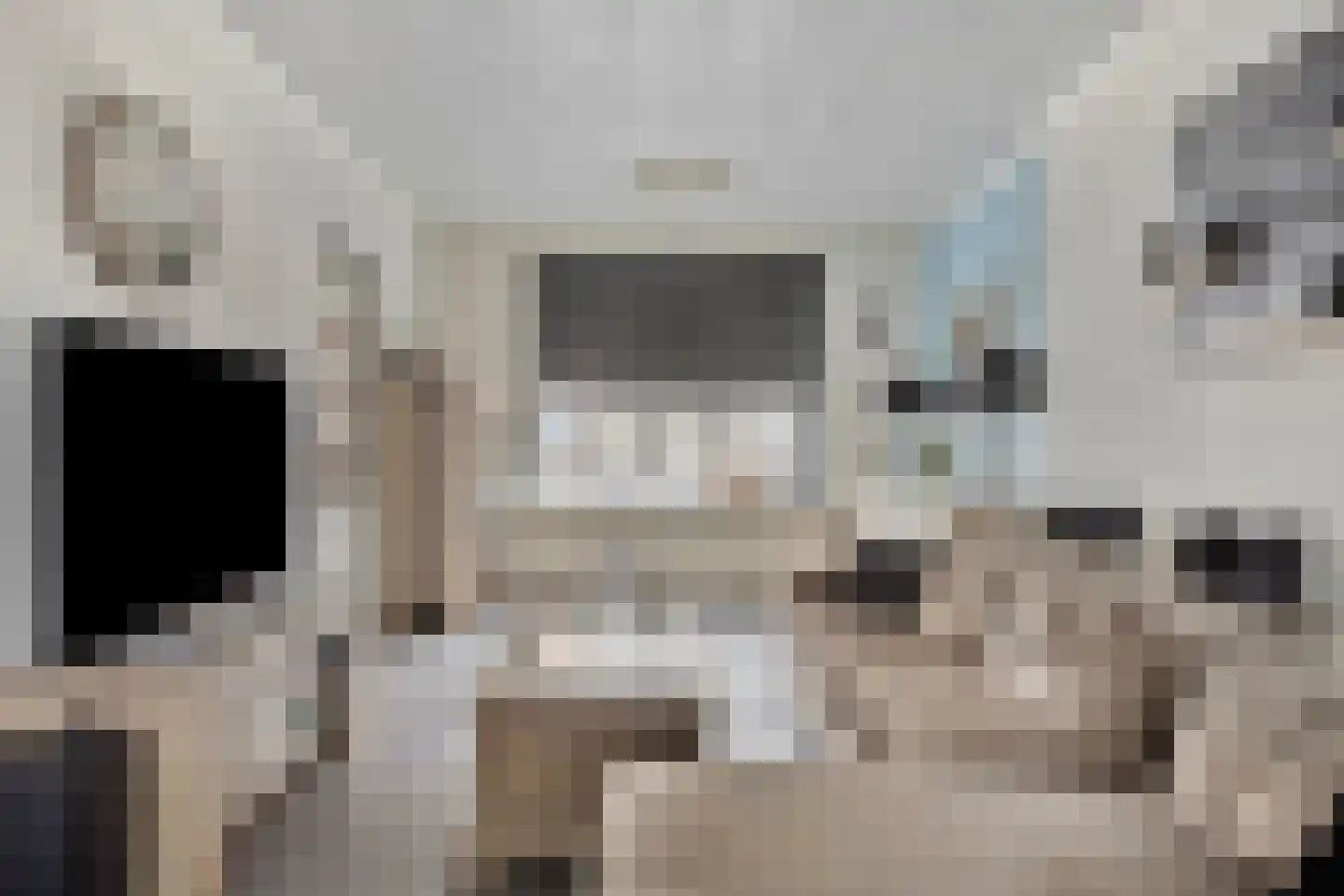 Hogeweidseweg 48 Tiel thumbnail 4