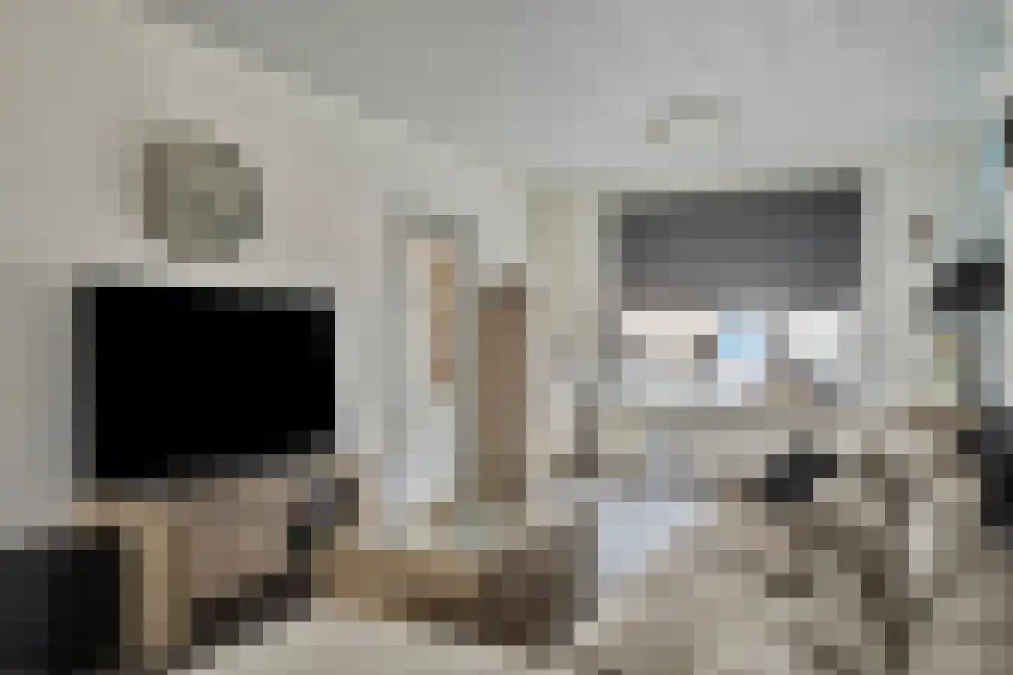 Hogeweidseweg 48 Tiel thumbnail 5