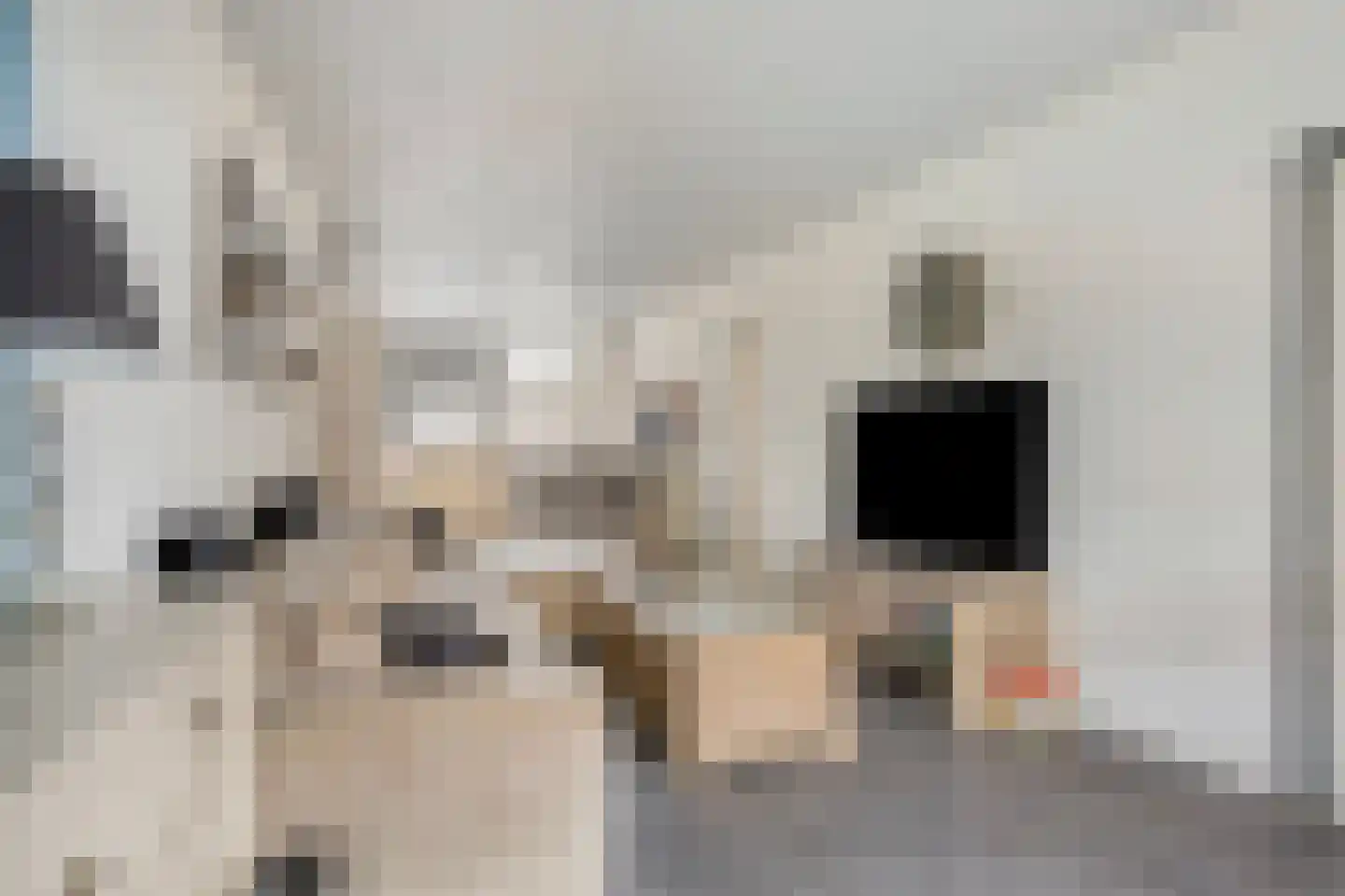 Hogeweidseweg 48 Tiel thumbnail 7