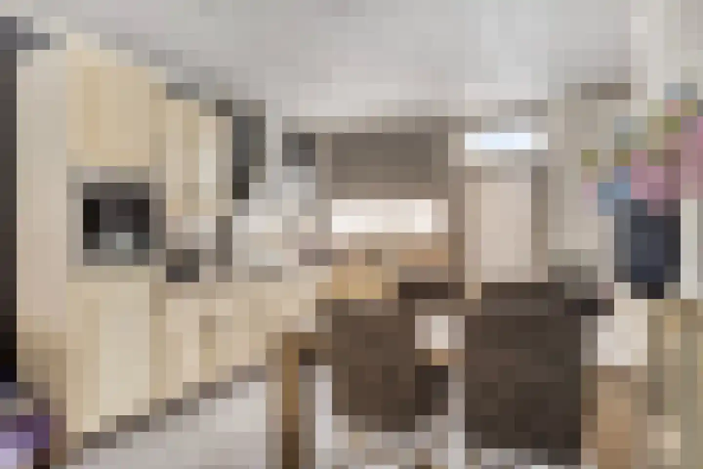 Hogeweidseweg 48 Tiel thumbnail 8