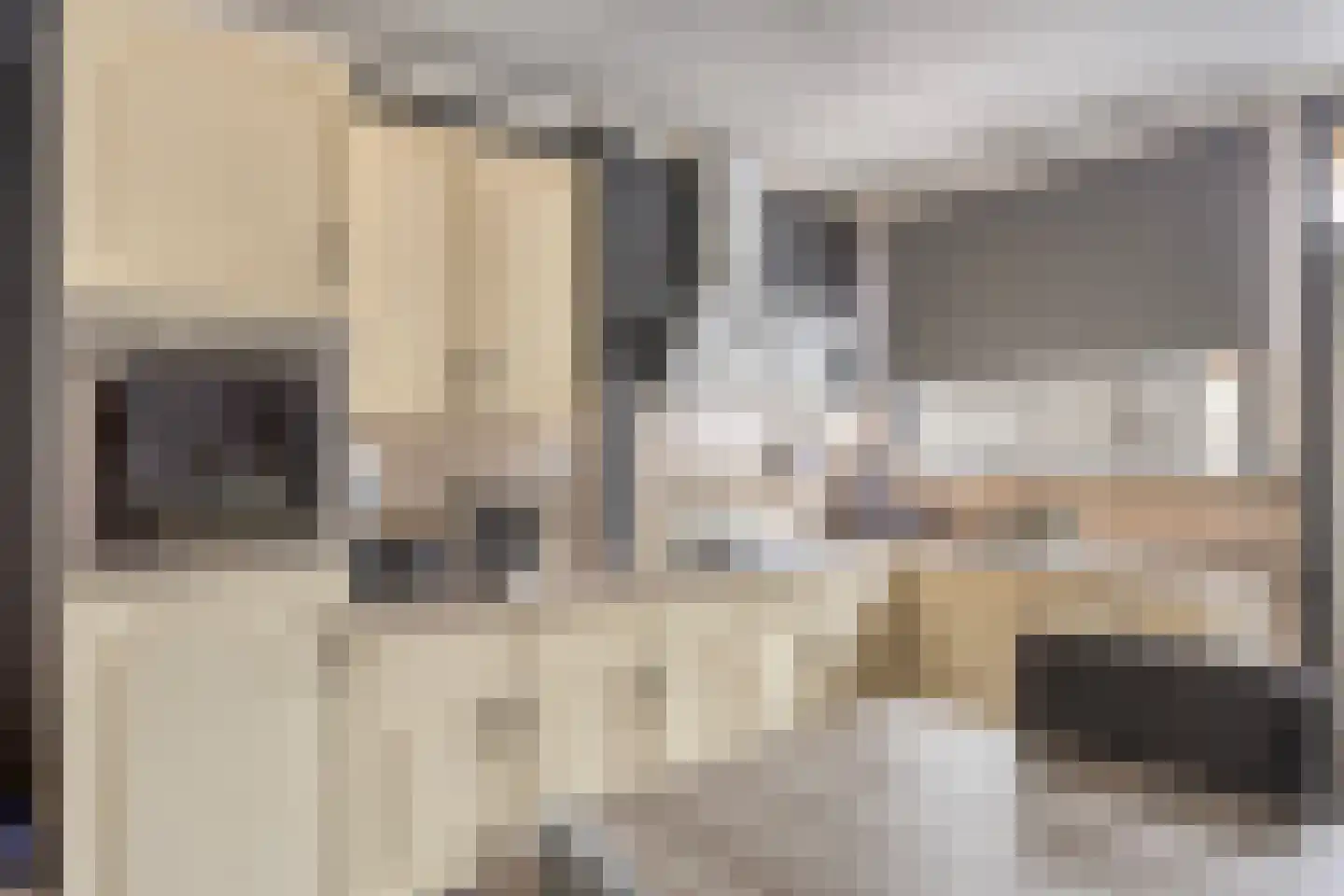 Hogeweidseweg 48 Tiel thumbnail 9