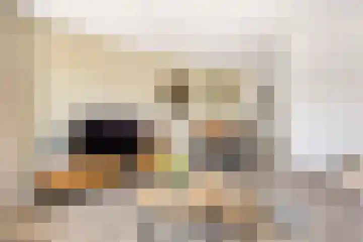 Hogeweidseweg 58 Tiel thumbnail 10