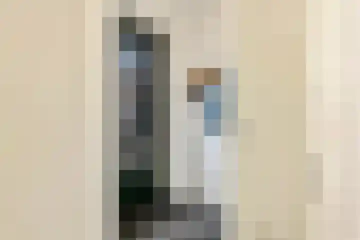 Hogeweidseweg 58 Tiel thumbnail 16
