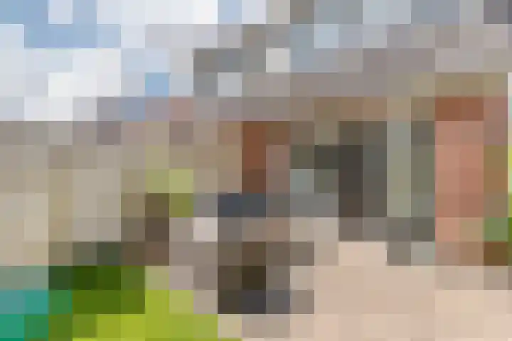 Hogeweidseweg 58 Tiel thumbnail 26