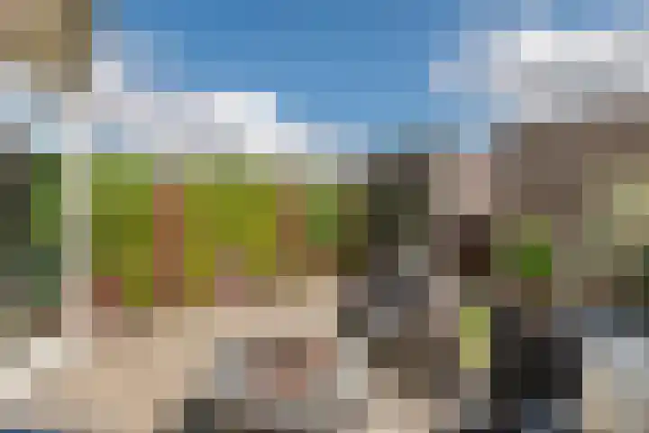Hogeweidseweg 58 Tiel thumbnail 28