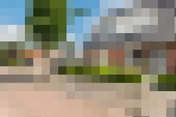 Hogeweidseweg 58 Tiel thumbnail 39