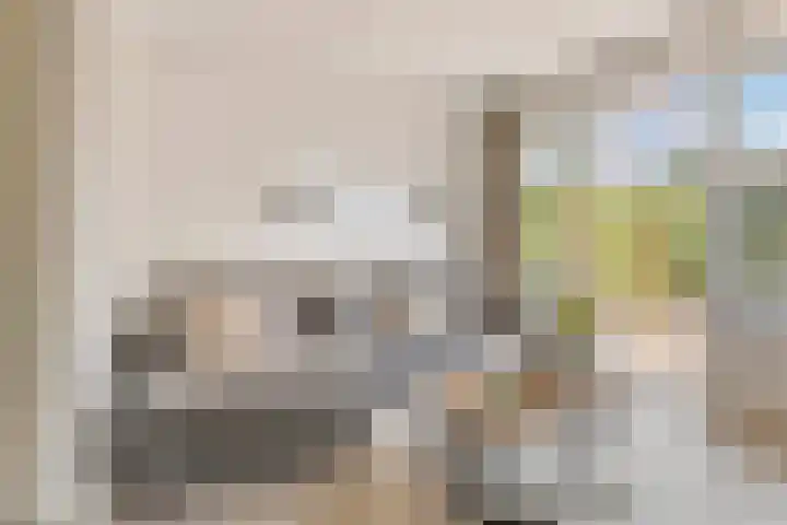 Hogeweidseweg 58 Tiel thumbnail 7