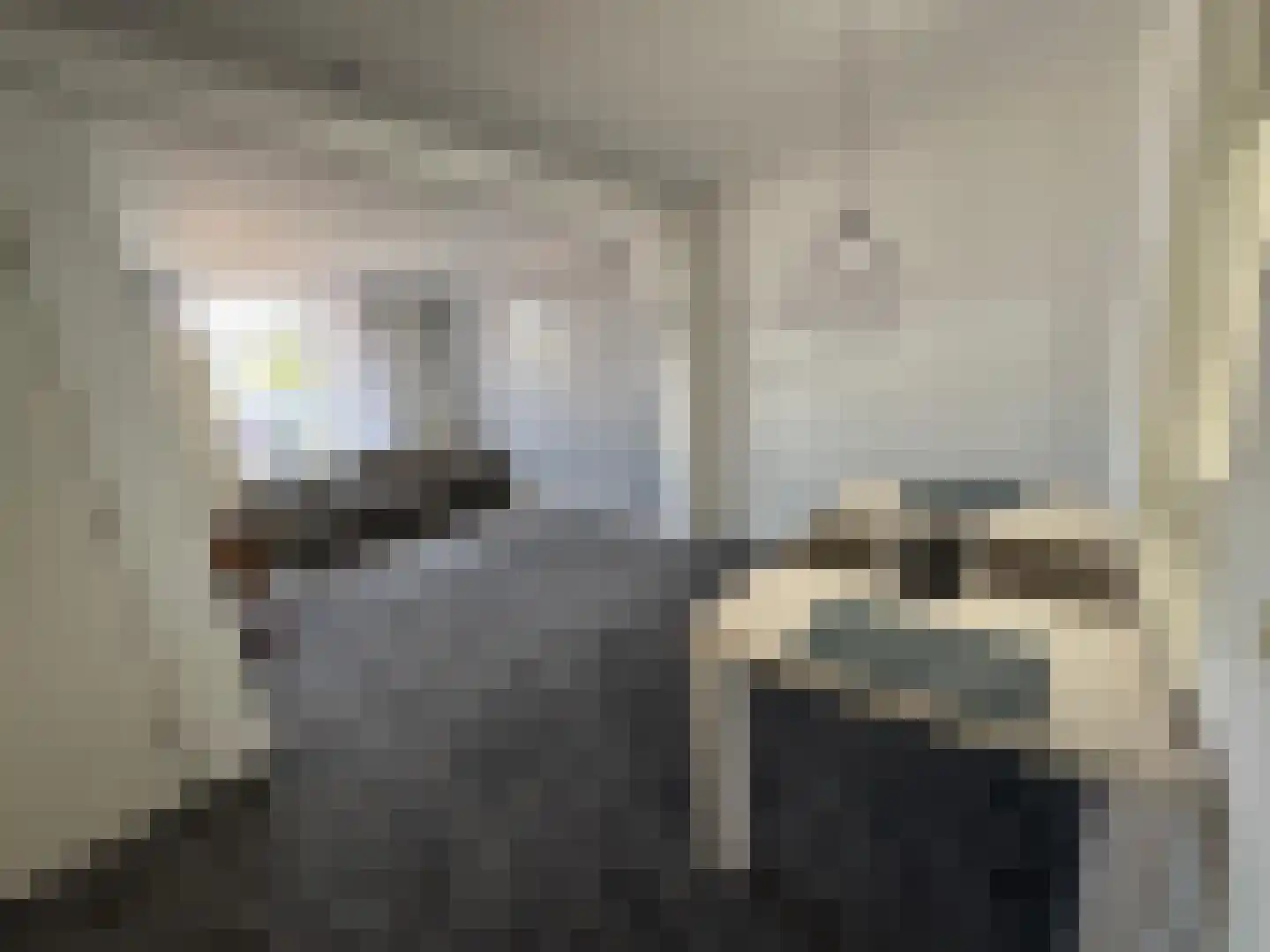 Hogeweidseweg 88 Tiel thumbnail 10