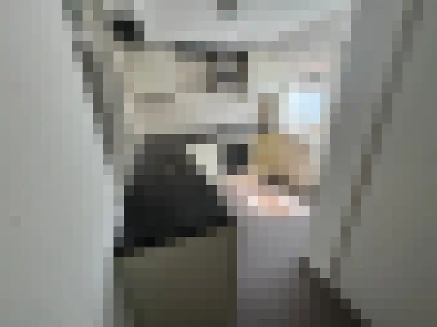 Hogeweidseweg 88 Tiel thumbnail 11