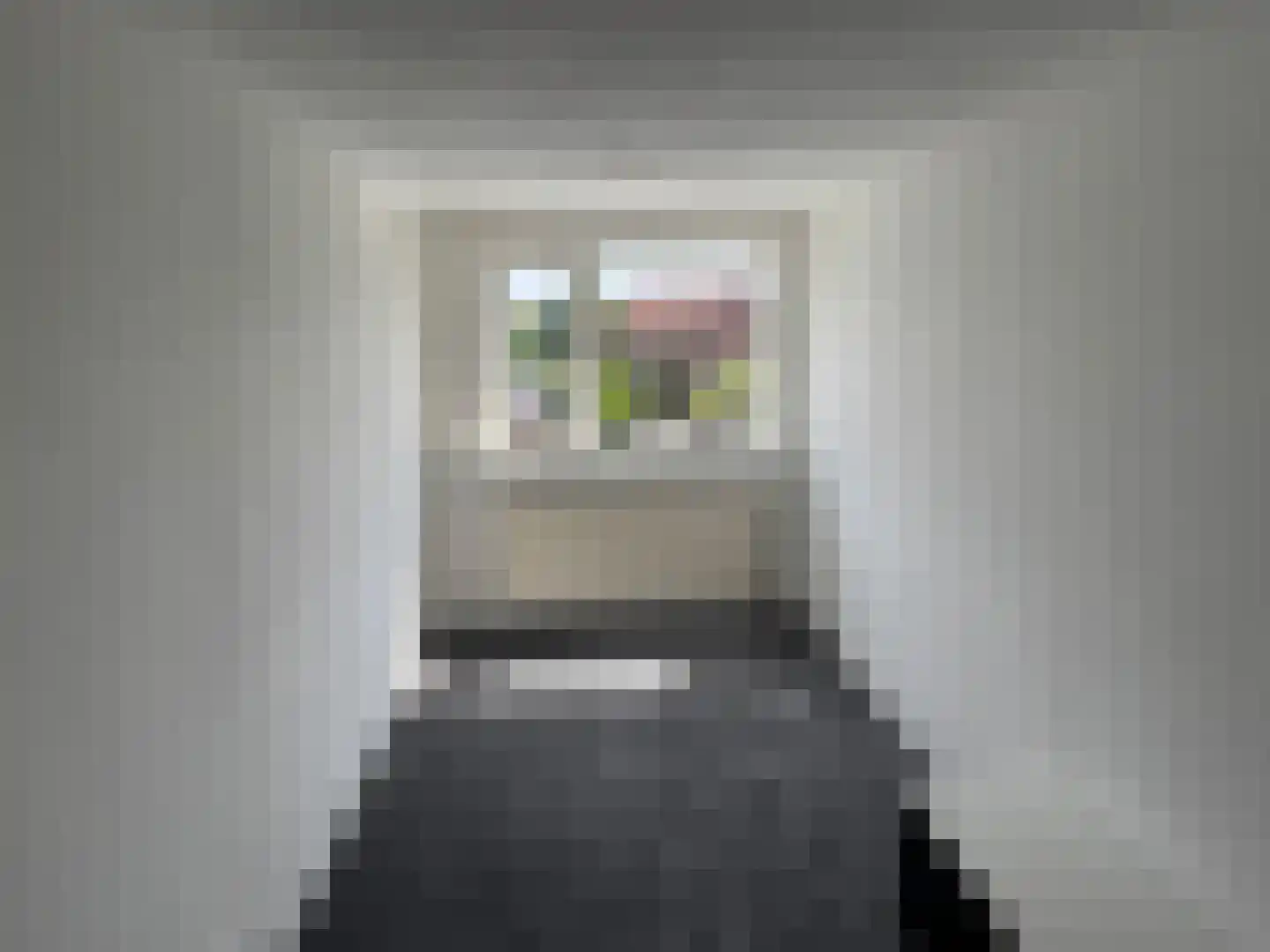 Hogeweidseweg 88 Tiel thumbnail 14