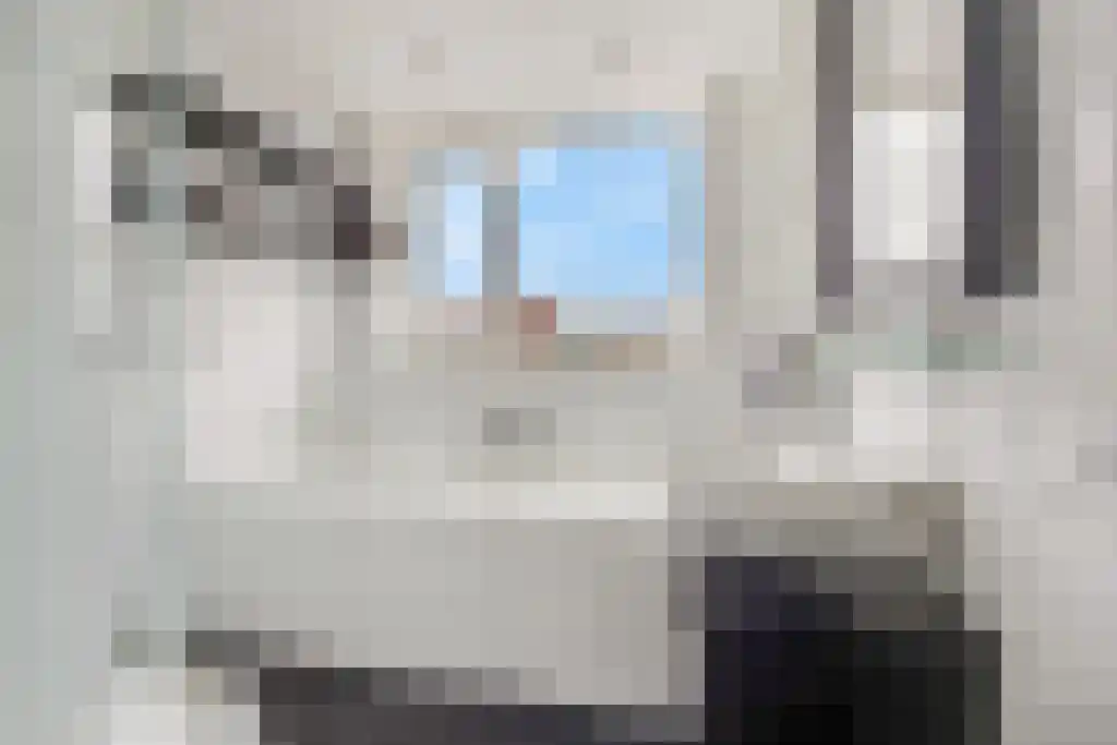 Hogeweidseweg 88 Tiel thumbnail 15