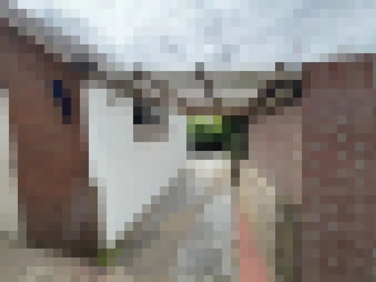 Hogeweidseweg 88 Tiel thumbnail 28