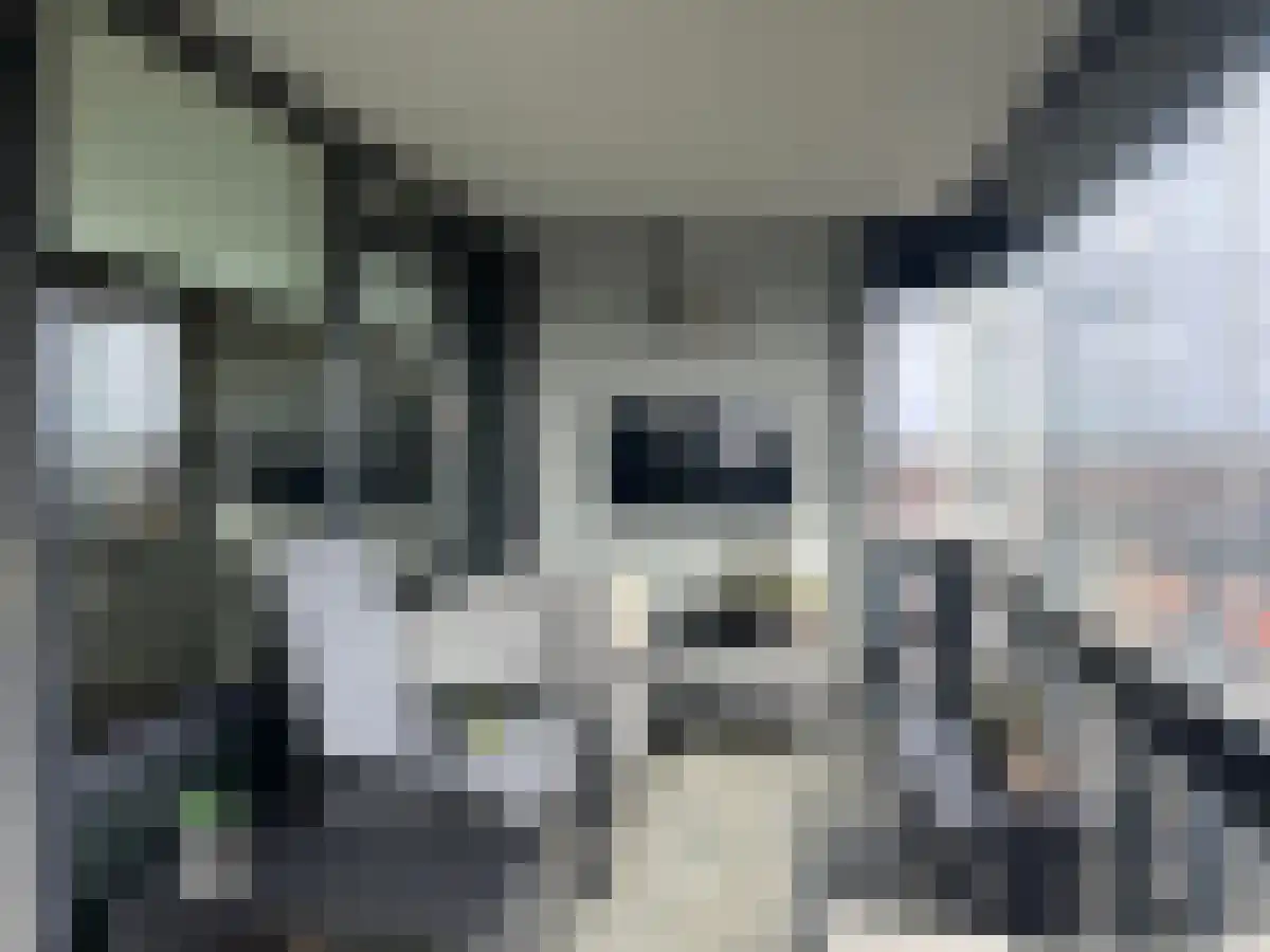 Hogewerf 10 Vlaardingen thumbnail 6