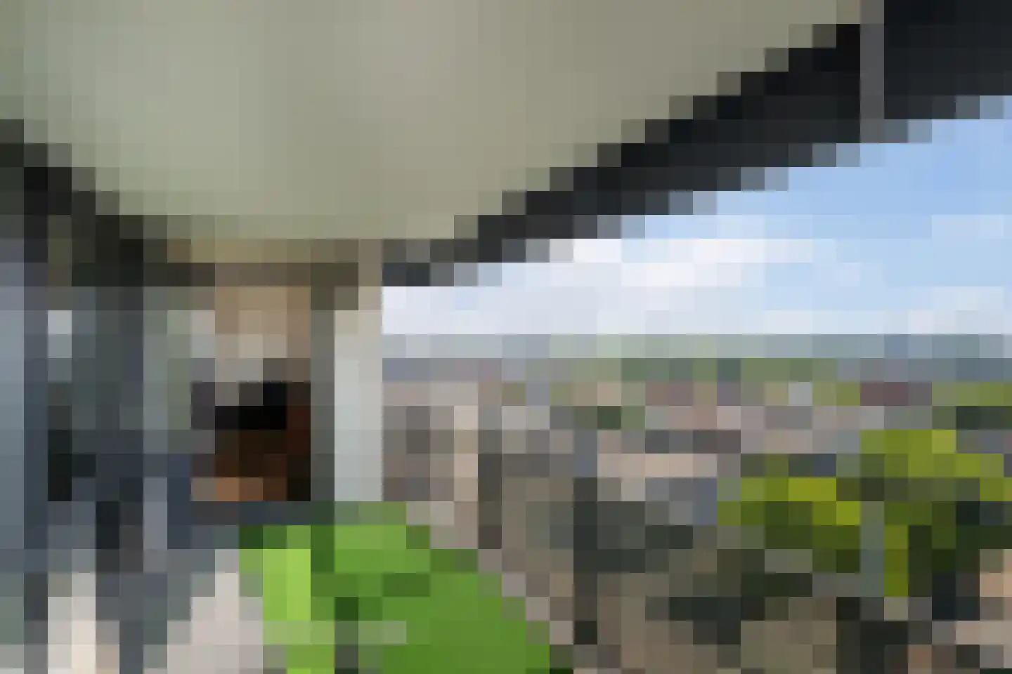 Hogewerf 40 Vlaardingen thumbnail 16