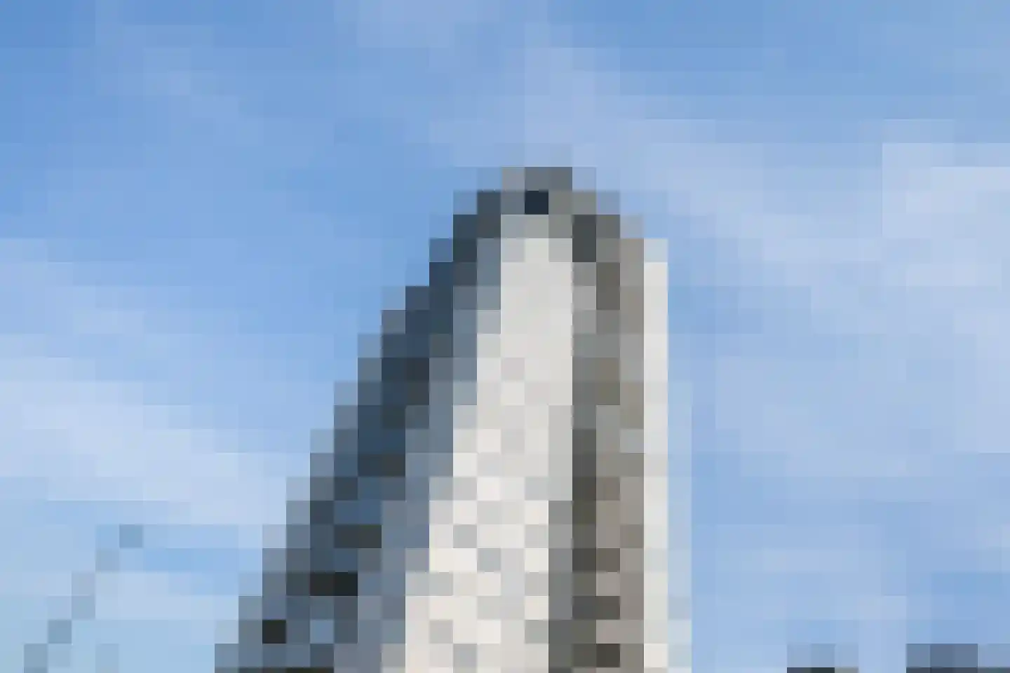 Hogewerf 40 Vlaardingen thumbnail 6