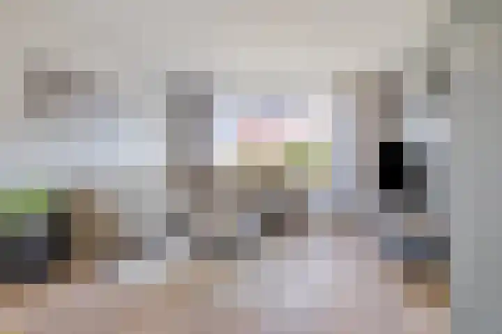 Hogewerf 5 Wouw thumbnail 13